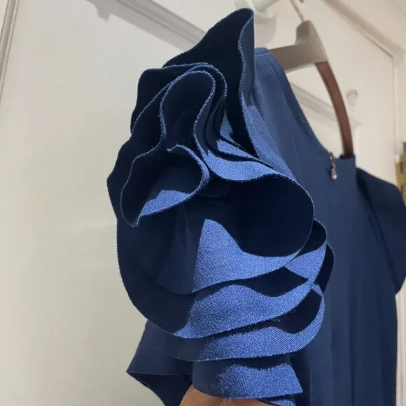 Pietro Brunelli "Salisburgo" Ruffled Sleeve Dress in Navy Blue Size S Maternity - Picture 3 of 9